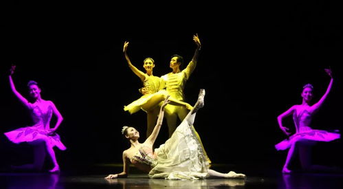 以美育人，以文化人 遼寧芭蕾舞團專場演出點亮寧夏大學新華學院藝術星空