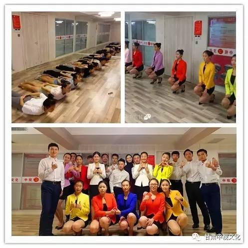 五年雙桂冠，深耕教育鑄就專業典范